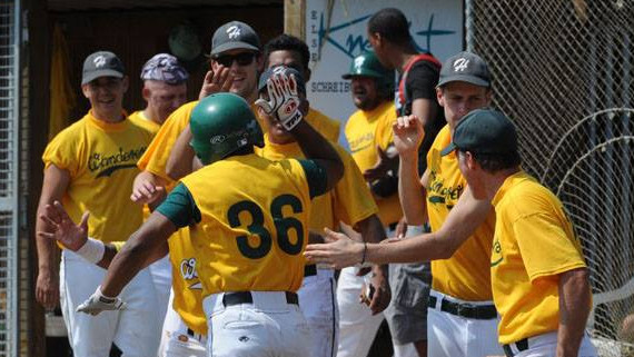 Baseball Verbandsliga 2015 gegen Ladenburg