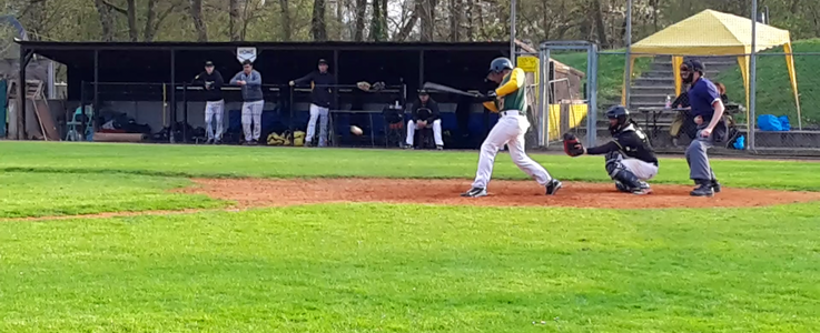 Sweep Herrenberg Wanderers vs. Bad Homburg Hornets